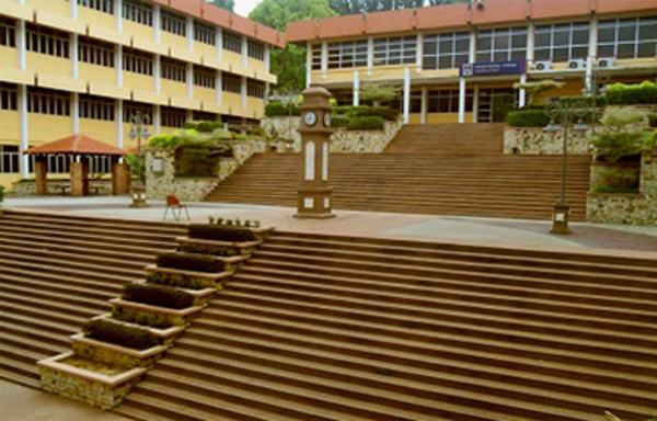 一探究竟：玛拉工艺大学热门专业排行榜